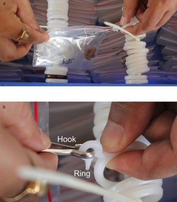 Figure 3. Details of the hook-and-ring system for hanging ziplock bags containing artefacts, with: a) plastic bag attached; b) close-up of the hook-and-ring attachment, showing one method of removal of individual artefacts. 