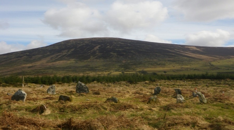 Field containing a stone circle with a hill in the background