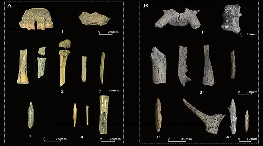 Worked bone and antler artefacts