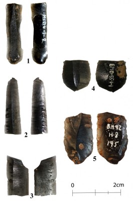Figure 3. New discoveries of obsidian bladelets: 1) MS21b; 2) MS7; 3) ‘Habitation’ 1; 4) BMD55; 5) H8.