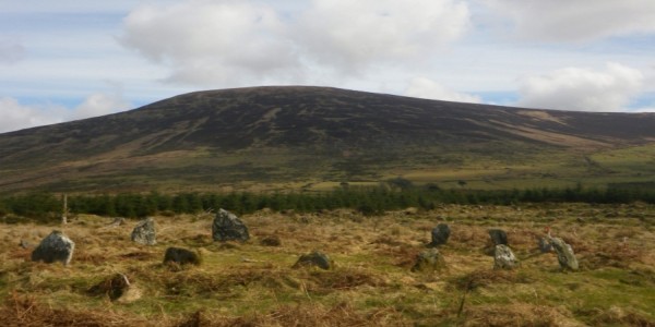 Field containing a stone circle with a hill in the background