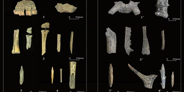 Worked bone and antler artefacts